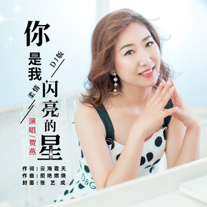 你是我闪亮的星伴奏 (柔情DJ版)