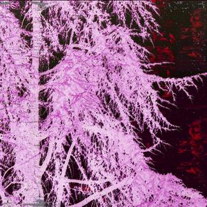 Dans ma tête (Explicit)