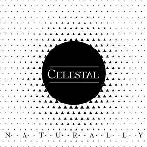 Naturally (B-Case Extended Mix)