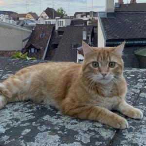 petrichor(feat. luvlxckdown) (Explicit)