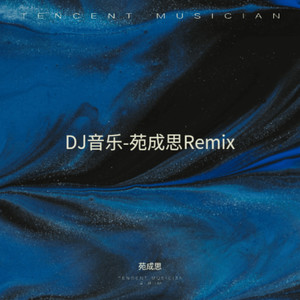 男人歌 (苑成思 remix)