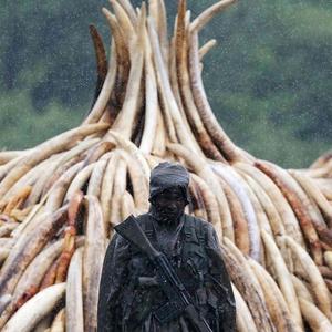 makemoneynotwar (Explicit)