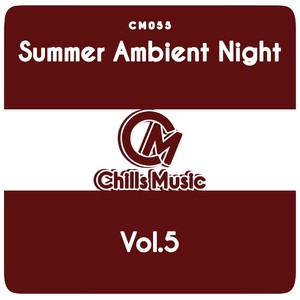 Summer Ambient Night, Vol. 5