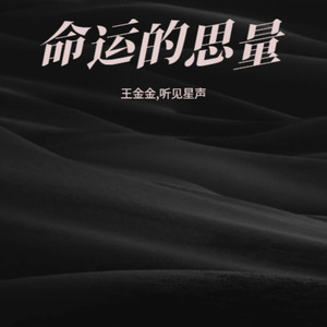 命运的思量 (摇滚版)