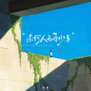 奈何人无再少年 (Live合唱版)