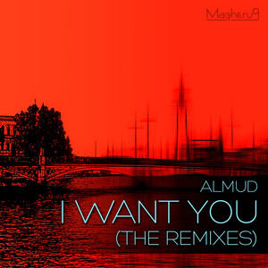I Want You (Vlad Rusu Remix)
