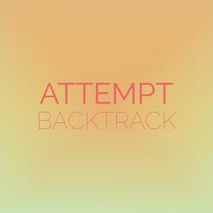 Attempt Backtrack