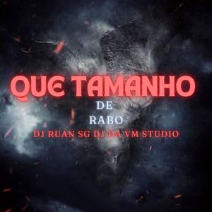 Que tamanho de rabo (feat. DJ DA VM STUDIO & MC FABINHO OSK) (Explicit)