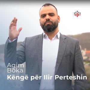 Këngë për Ilir Perteshin