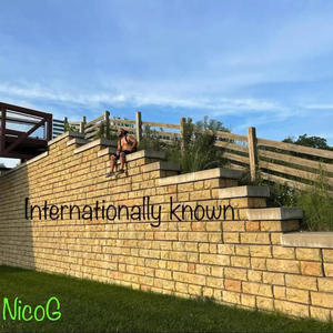 Internationally Known (Explicit)