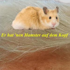 Er hat 'nen Hamster auf dem Kopf