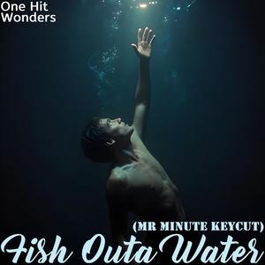 Fish Outa Water (Mr Minute KeyCut)