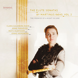 Schwerin Collection, Flute Sonata No. 6 in D Major - III. Moderato