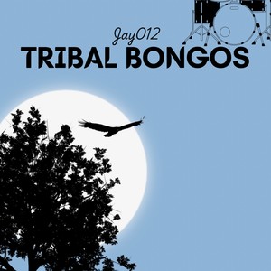 Tribal Bongos