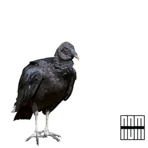 Feel Make Money (Explicit)