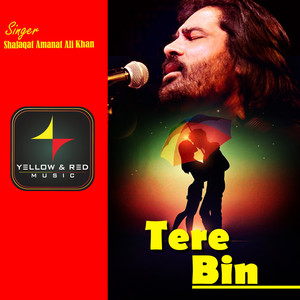 Tere Bin - Single