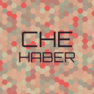 Che Haber