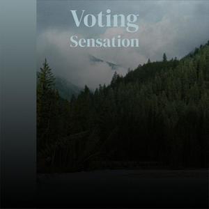 Voting Sensation