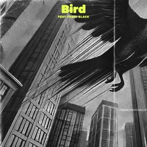 Bird (feat. Yongi Black) [Explicit]