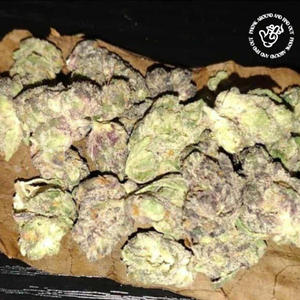 WHOLE LOTTA WEED (feat. ENOKALYPSE) (Explicit)