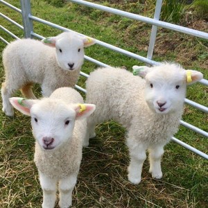 italktoomuch (feat. pohcus) (Explicit)