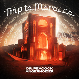 Trip to Morocco (Original Mix)