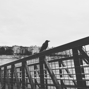 what a luck (Explicit)