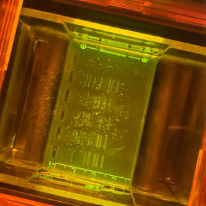 pretty hoe (feat. Remdy) (Explicit)