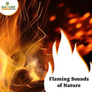 Flaming Sounds of Nature