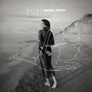 הלוך ושוב