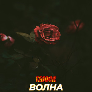 Волна (Explicit)