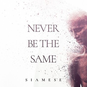 Never Be the Same