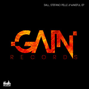 Wakeful (Original Mix)