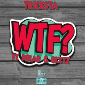 What The Fxck (feat. Polar & Blxtz) [Explicit]