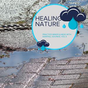 Healing Nature - Practice Mindfulness with Rainfall Sounds, Vol.5