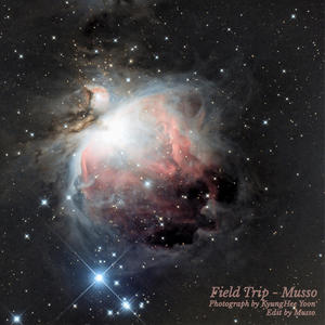 Field Trip (Radio Edit)