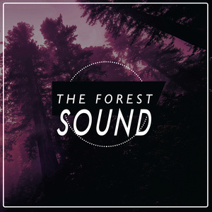 The Forest Sound