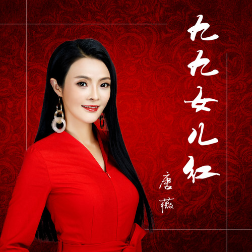 九九女儿红dj何鹏版remix