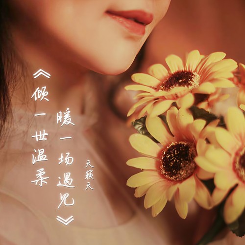 倾一世温柔暖一场遇见