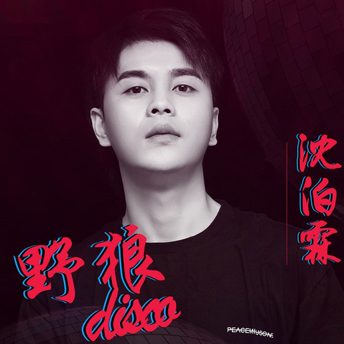 MIX PARTY 丨 11月01日 沈泊霖《野狼DISCO》中国新说唱人气小生，华语流行音乐唱作人！-阿克苏MIX酒吧/MIX PARTY