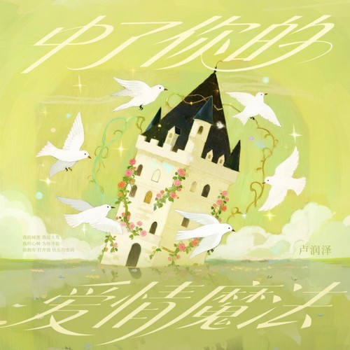 中了你的爱情魔法