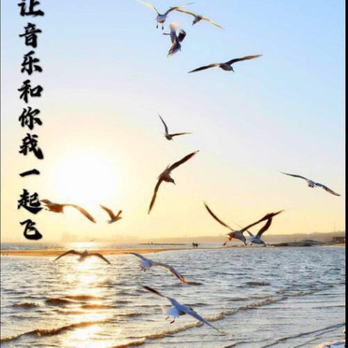 让音乐和你我一起飞