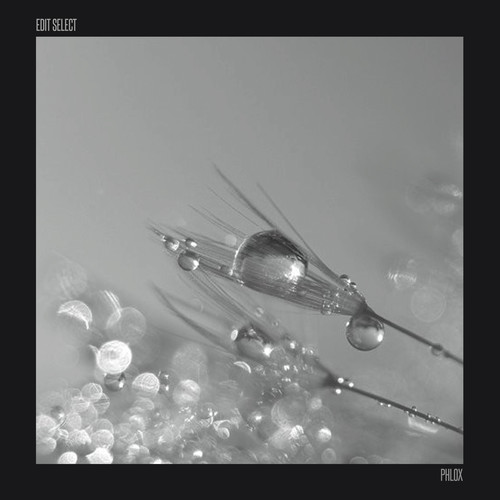 9.8 周五 • Edit Select (Edit Select Records)-上海POTENT CLUB