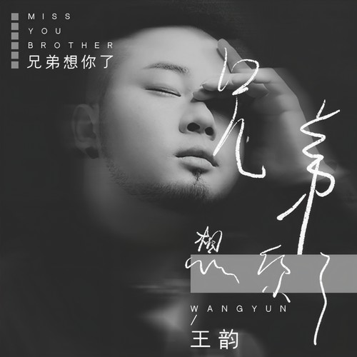 兄弟想你了dj沈念版dj版