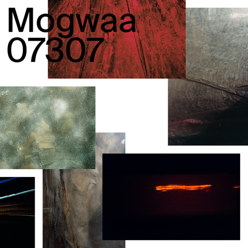 ▼ 善用合成器的放克魔术师: Mogwaa (live) ▲-上海ELEVATOR/电梯酒吧