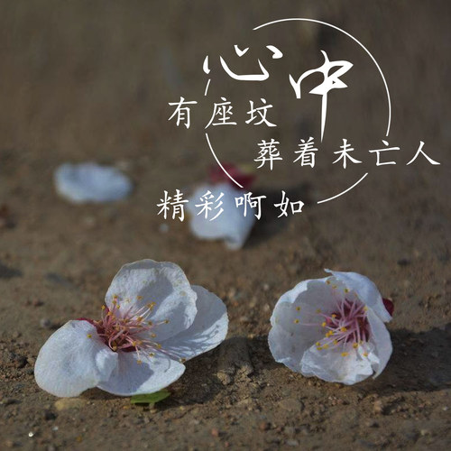 心中有座坟葬着未亡人