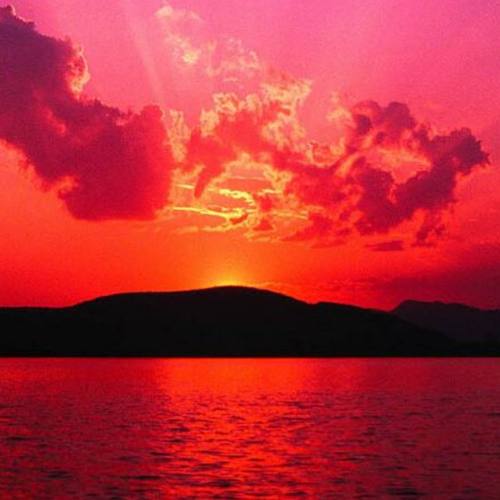 designinmalicelaylaylay