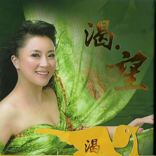 人间第一情live