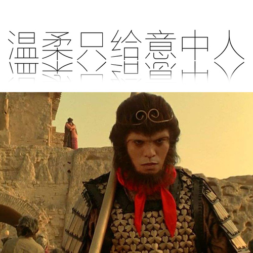 温柔只给意中人