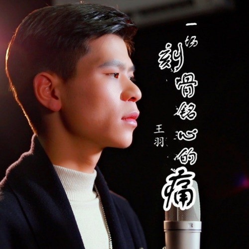 一场刻骨铭心的痛